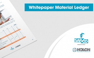 Material Ledger actual costing